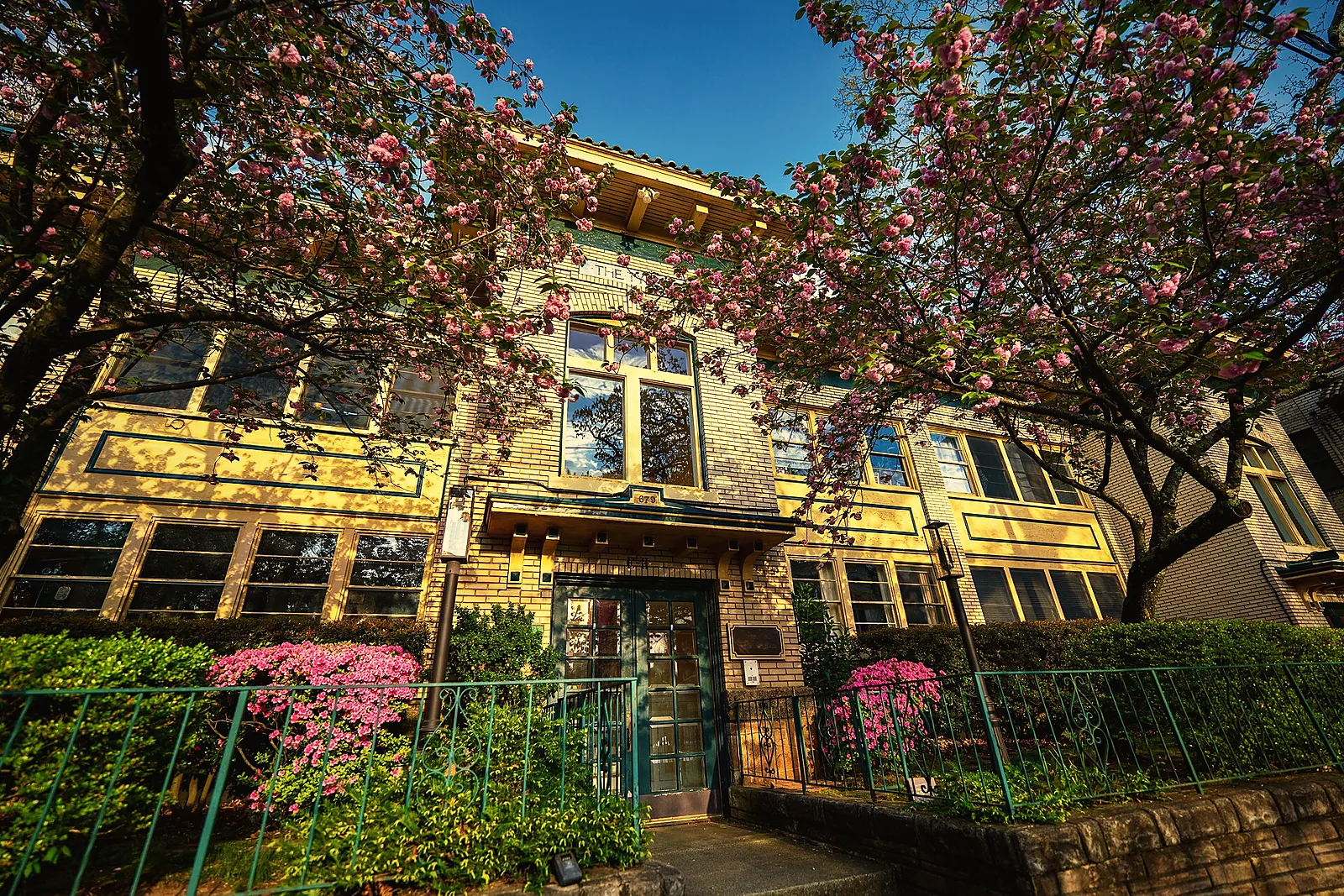 A historic yellow-brick apartment building framed by spring blossoms