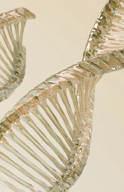 Close-up of a transparent, stylized DNA double helix model on a light background.