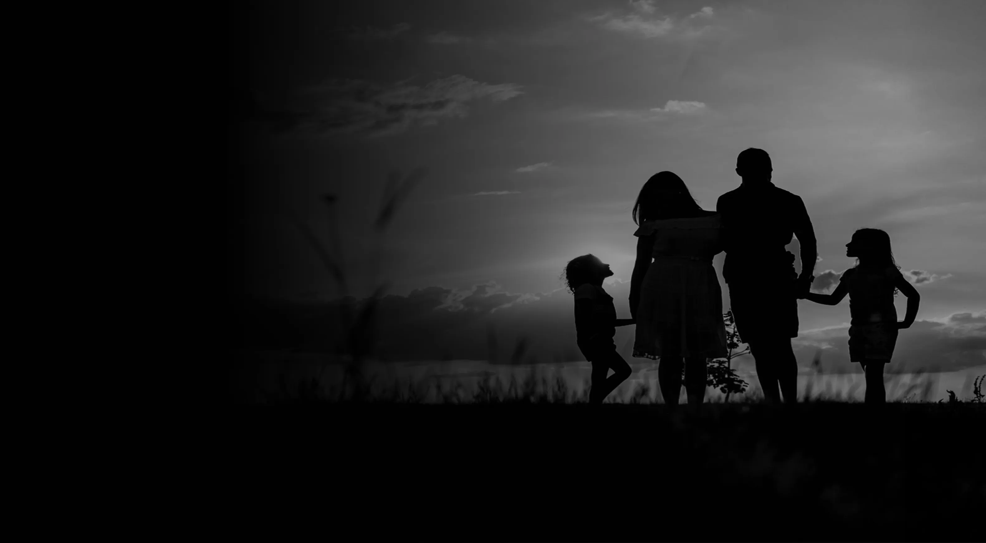 Silhouettes of four people standing in a field at sunset with a cloudy sky in the background, holding hands and facing away.