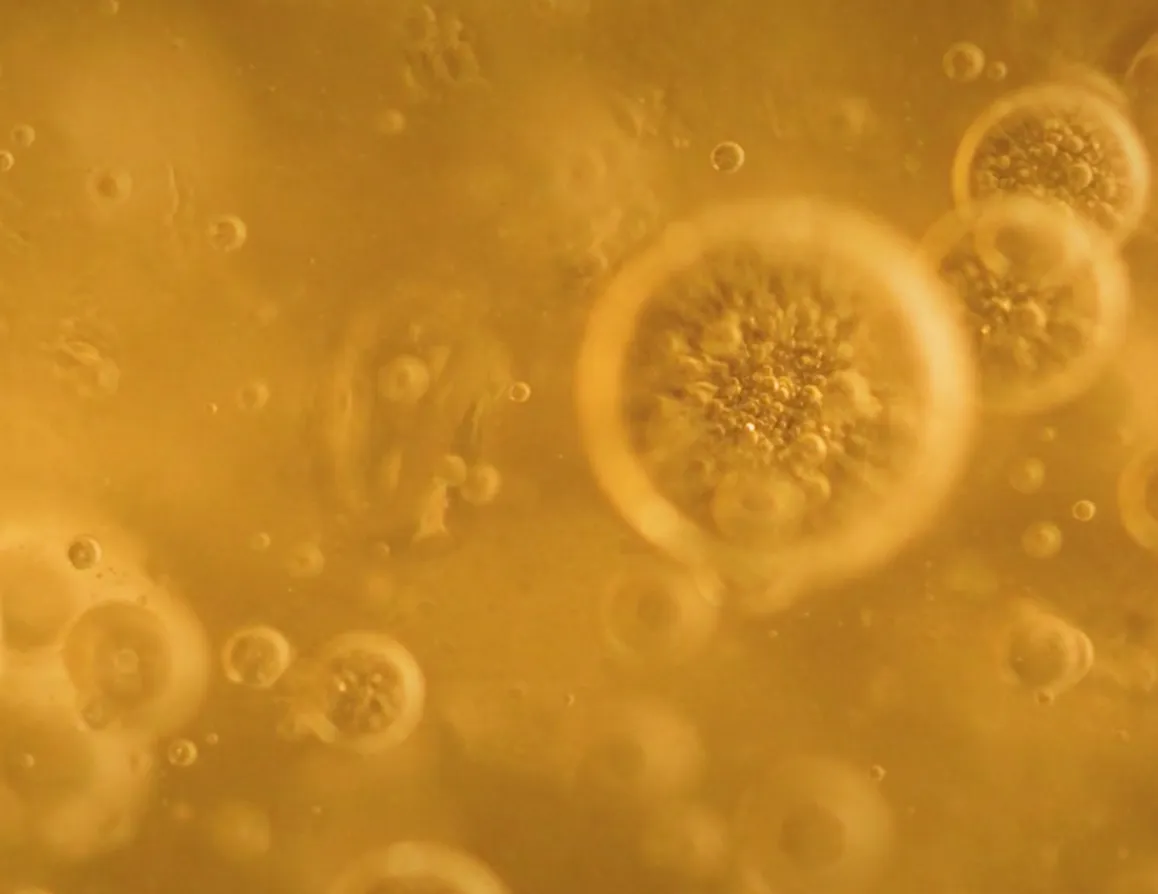 Close-up view of multiple translucent spherical bubbles suspended in a golden-yellow liquid.