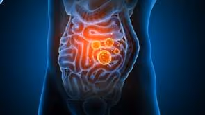 Pillar 11 Gut & Microbiome Function