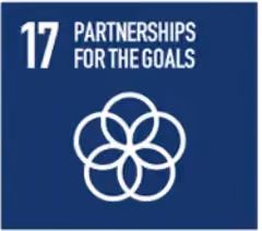 SDG 17