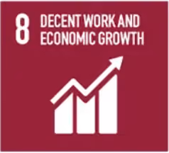 SDG 8