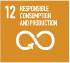 SDG 12