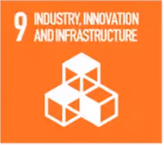 SDG 9