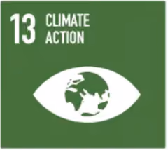 SDG 13