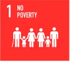 SDG 1