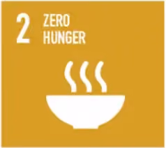 SDG 2