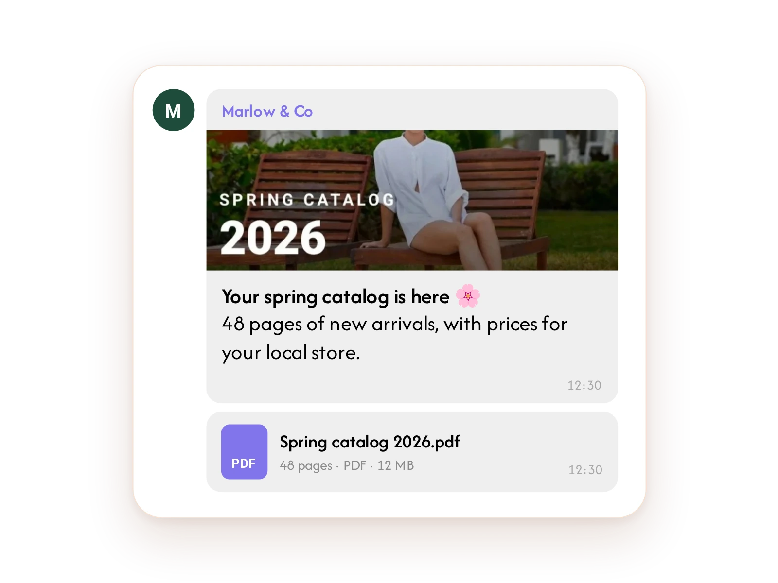 Viber message with an attached spring catalog PDF