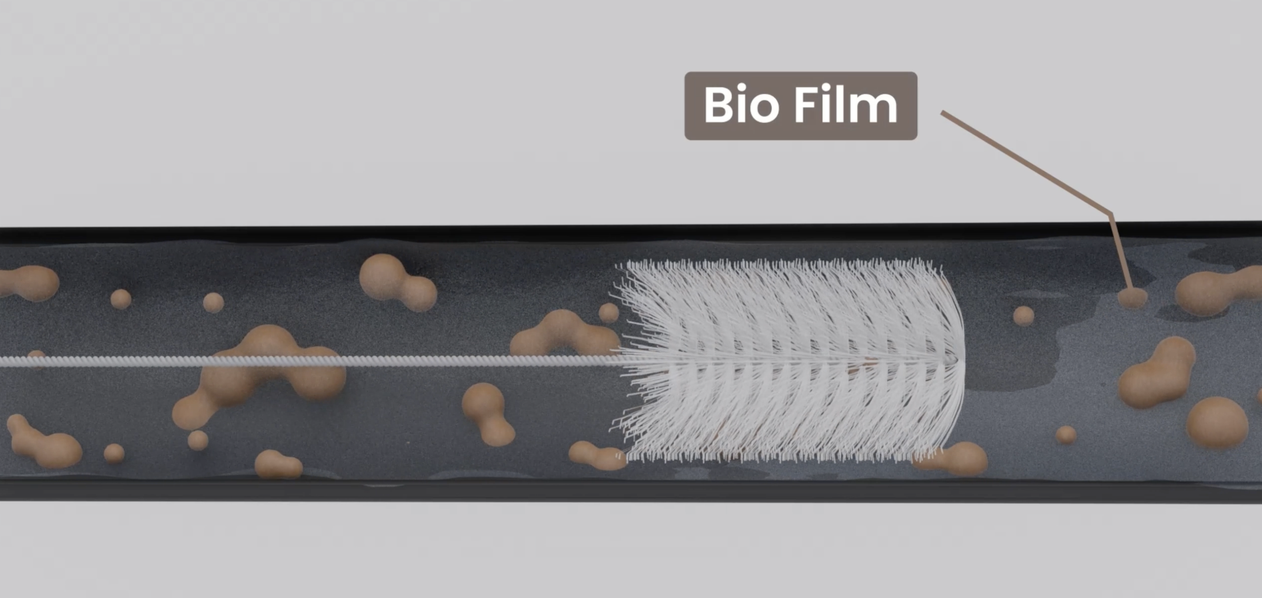 Understanding Biofilm: Why It Forms and Why It's So Hard to Remove