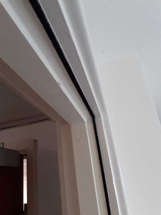 Intumescent and smoke seals reinstated to a door edge