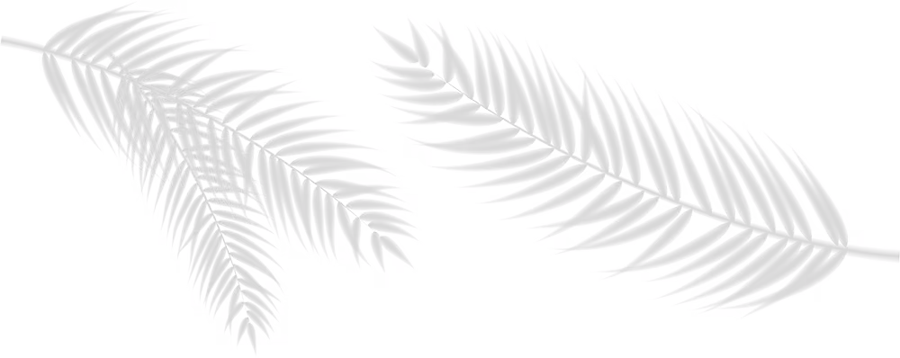 Fjær