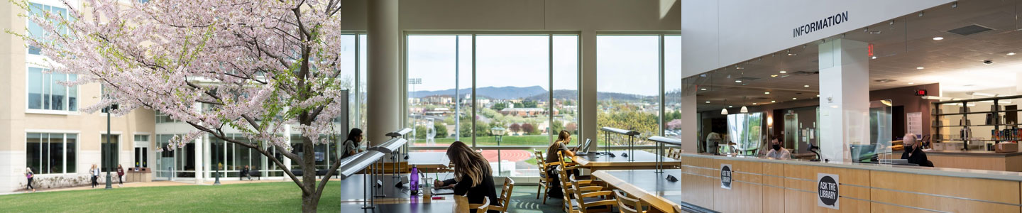 Rose Library at James Madison University