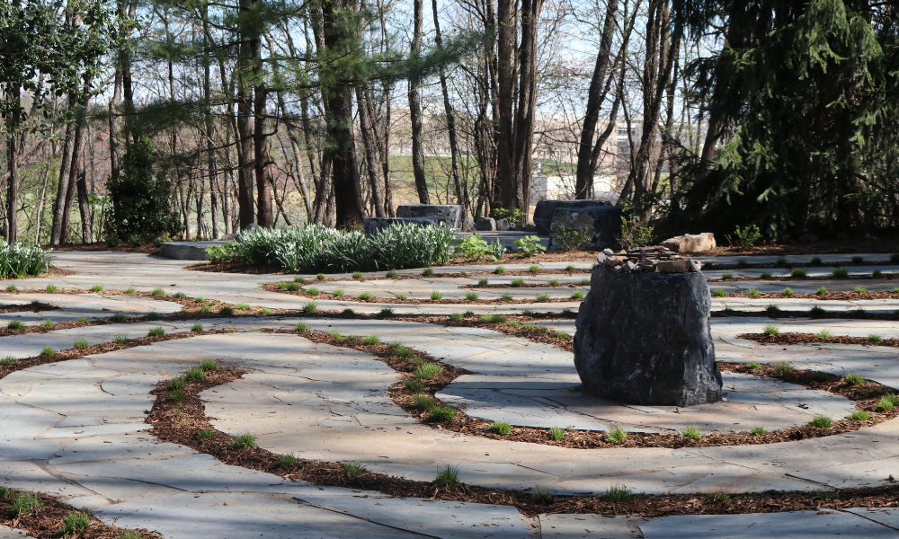 Edith J. Carrier Arboretum in Harrisonburg near The Hills Southview