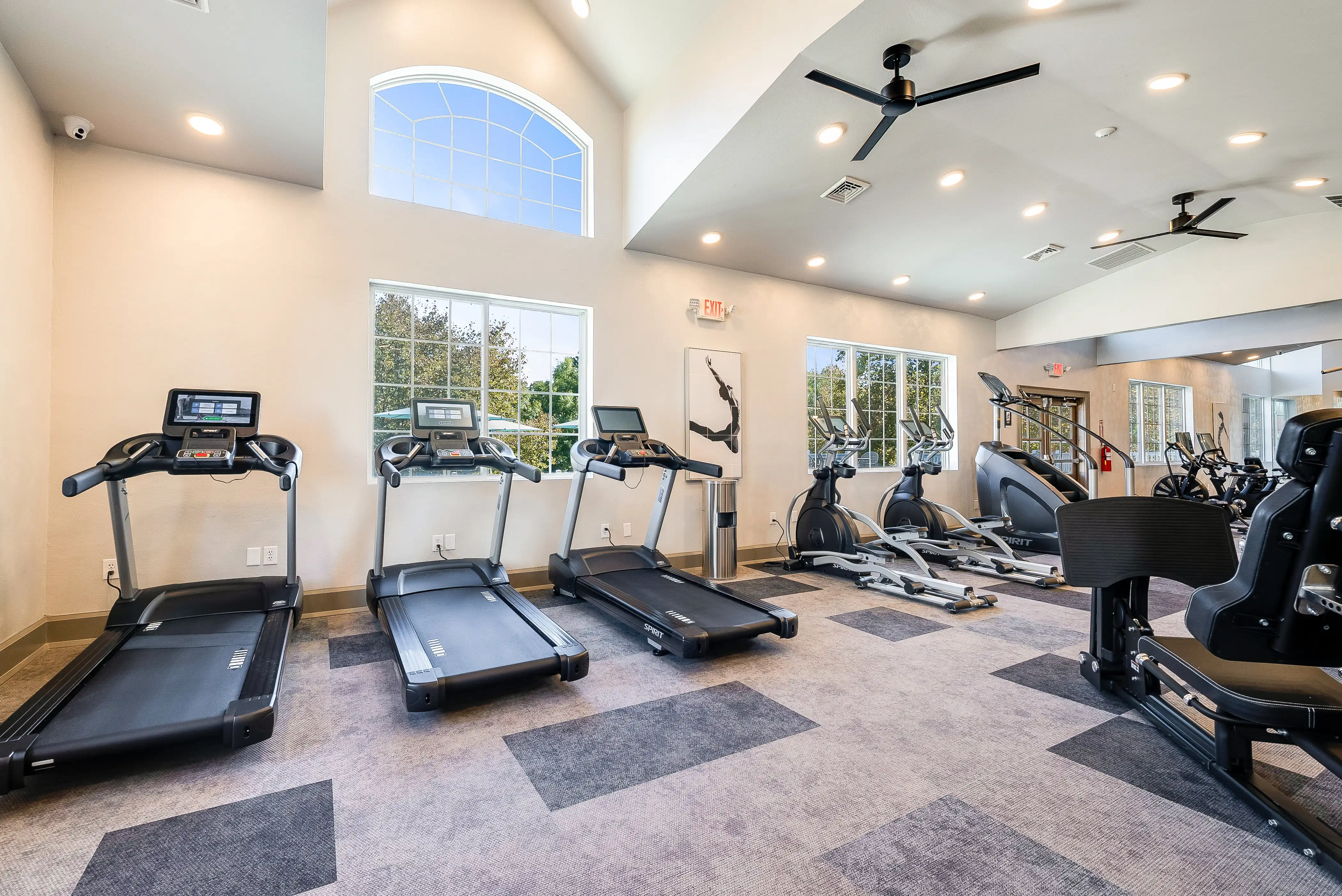 Treadmills and cardio equipment at The Hills Southview