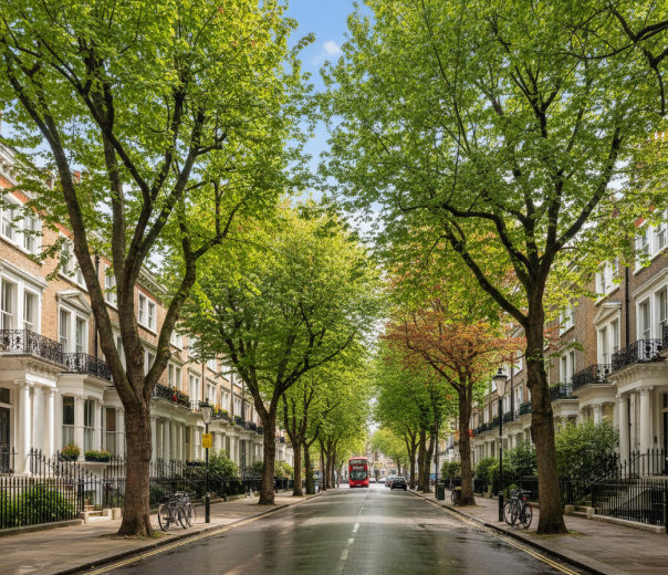 Tree-lined residential street in Putney