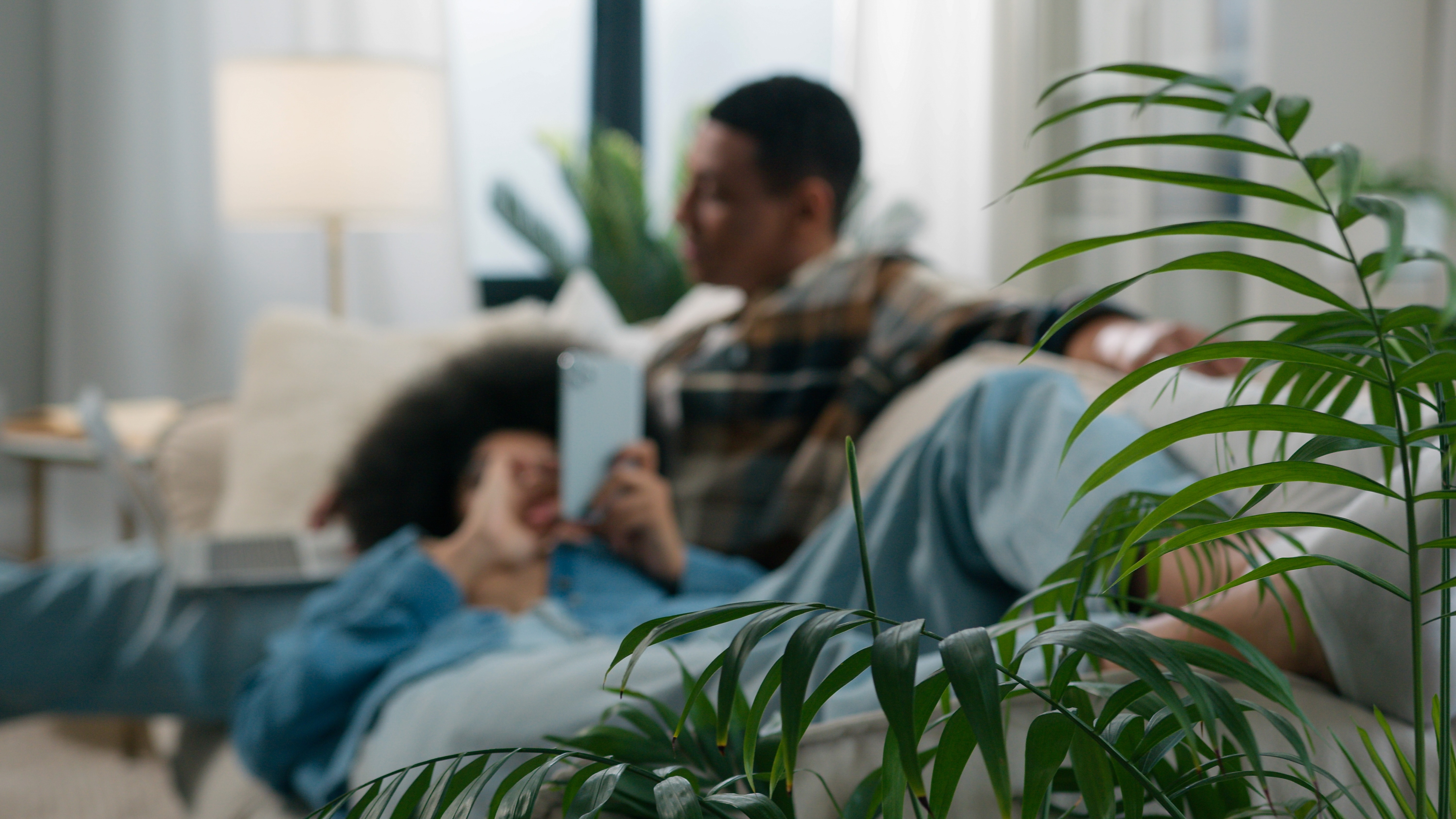 Plant with couple on couch in background stock photo