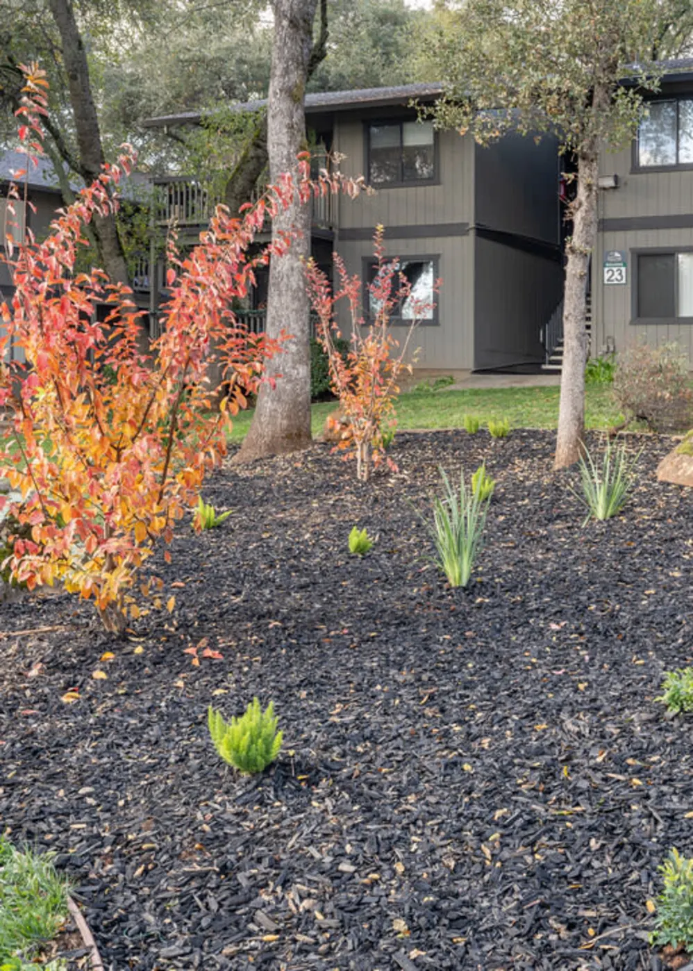 Exterior of apartment building with focus on landscaping