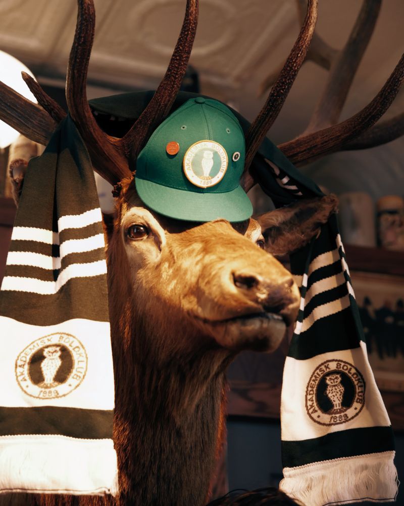 An AB cap and scarf hung on a mounted deer head