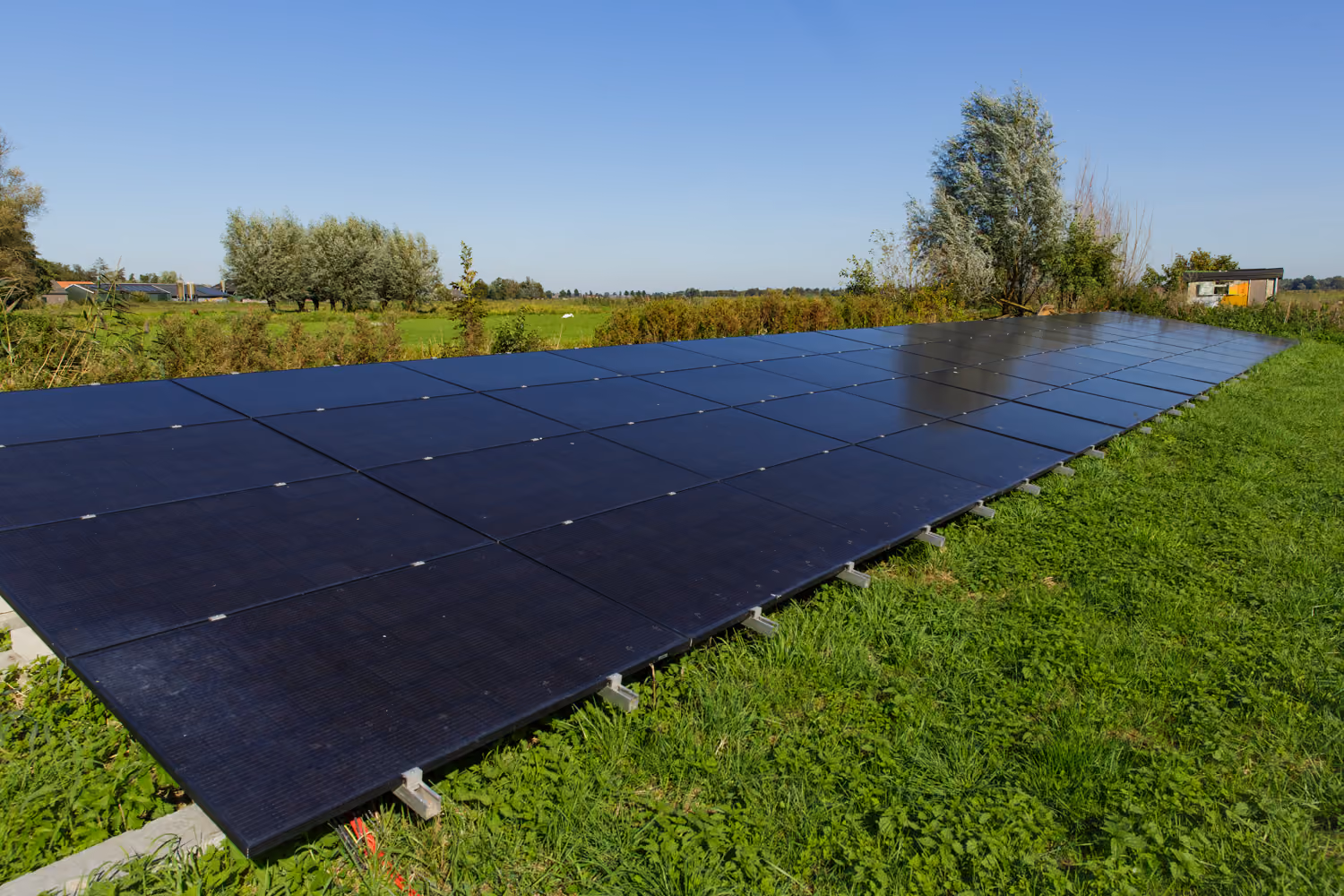 Row of black solar panels on low frames in the meadow, with willows, farm sheds and open polder beyond
