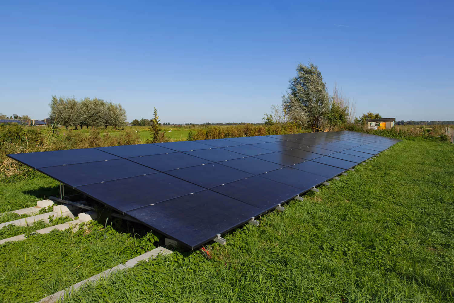 Ground-mounted solar panel array in the meadow, with pollarded willows and flat polder fields under blue sky