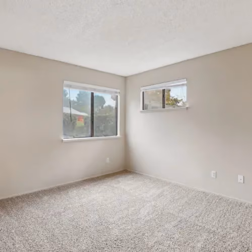 Bedroom with two windows