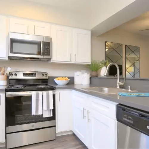 Furnished kitchen 
