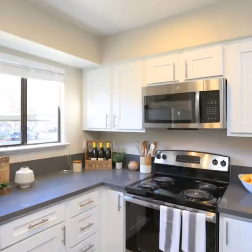 Furnished kitchen 