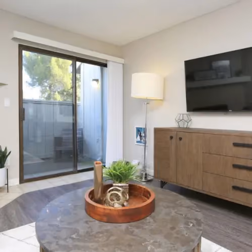 Furnished living room