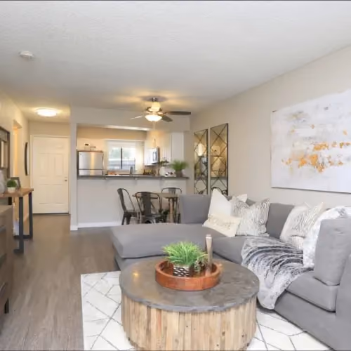 Furnished living room