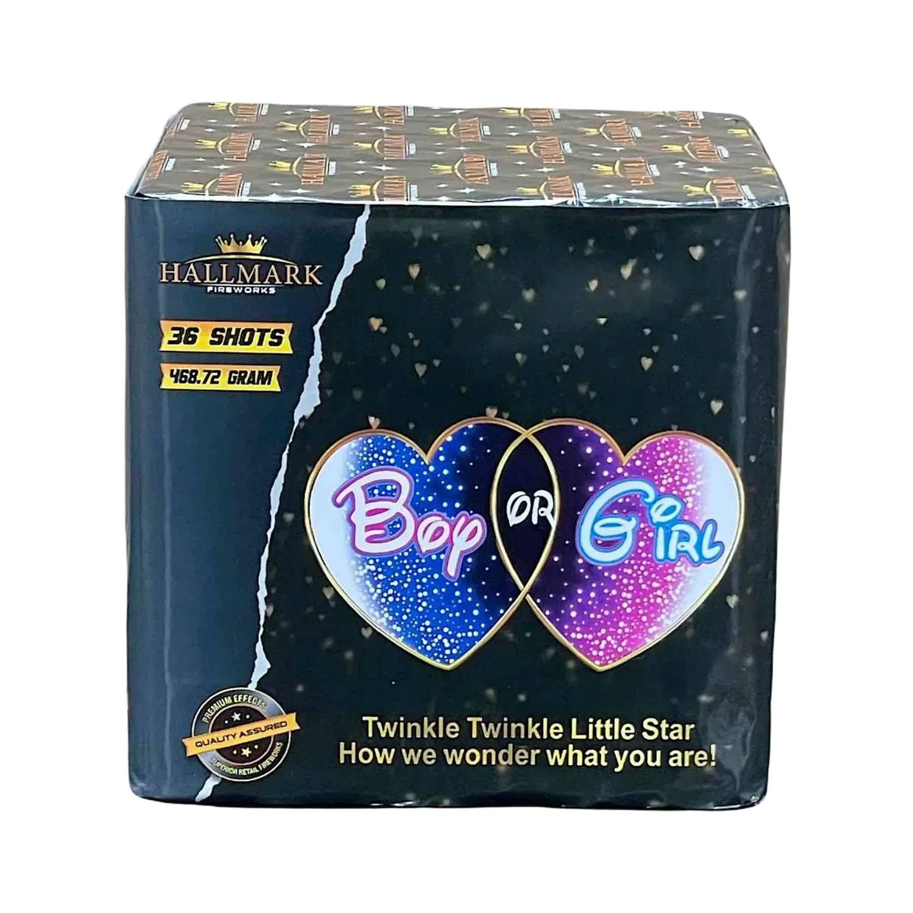 Boy or Girl – Gender Reveal