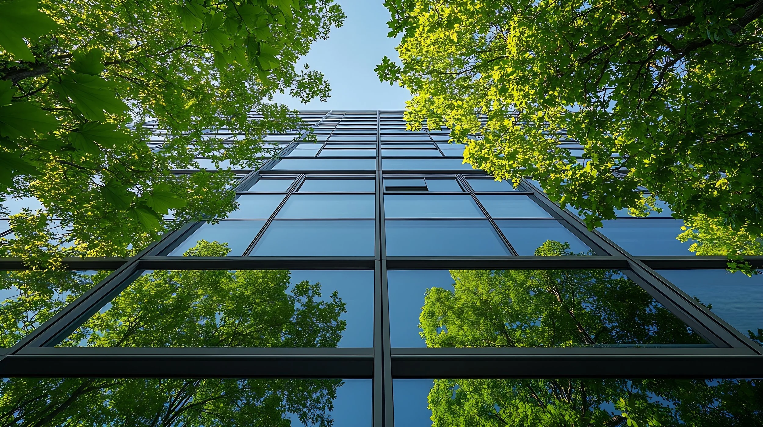 Office building surrounded by leafy trees