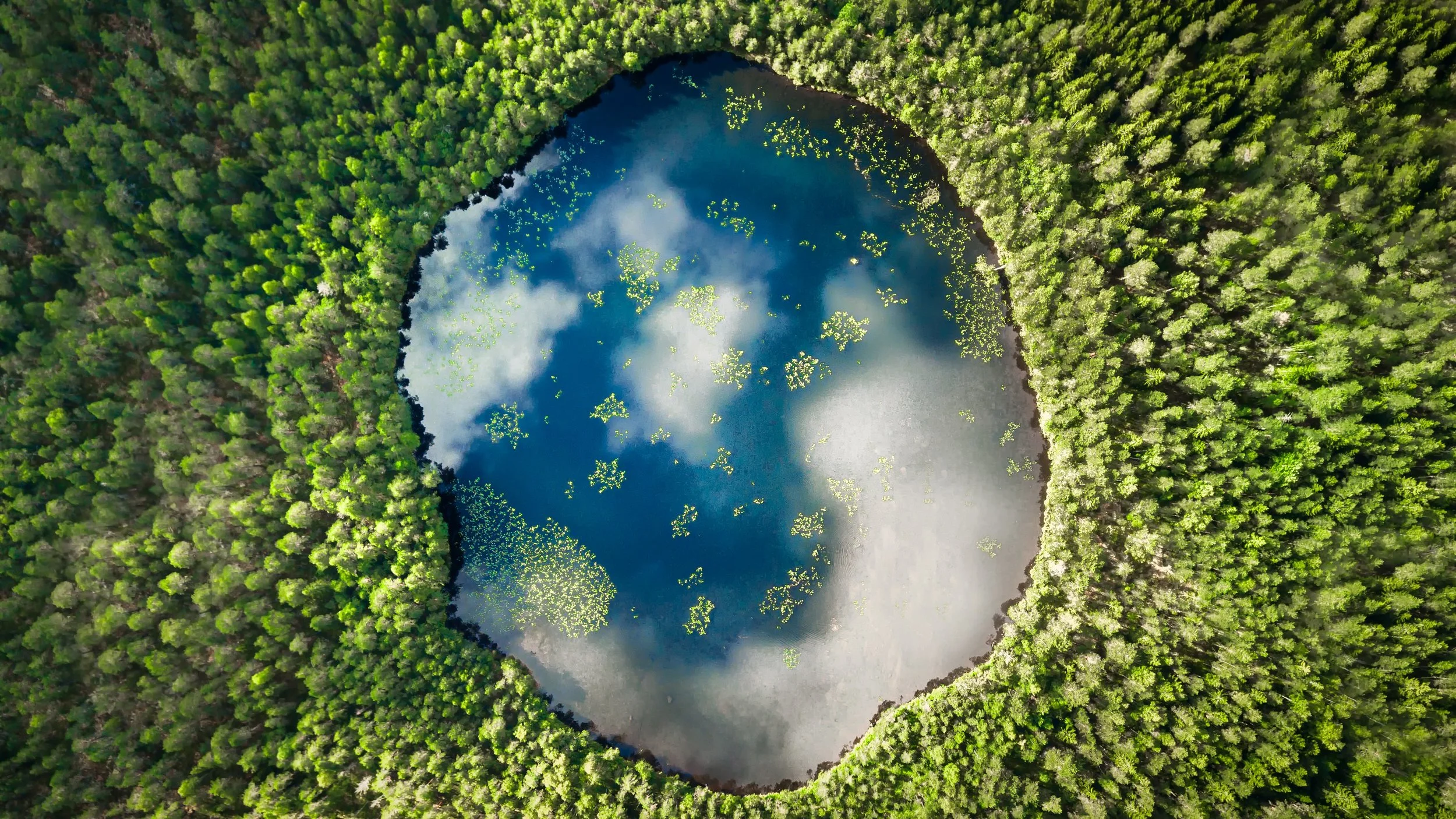 Aerial view of a circular forest clearing with a blue pond reflecting clouds, surrounded by dense green trees.