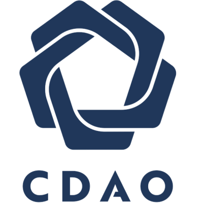 Chief Digital and AI Office