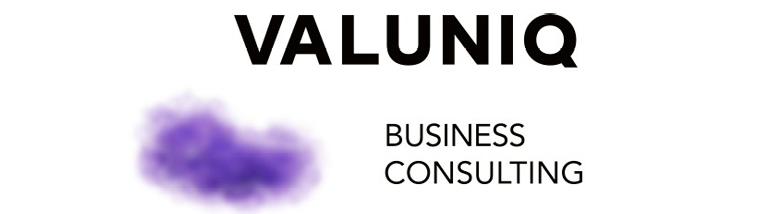 Valuniq Business Consulting