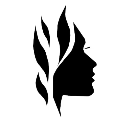 evexia spa logo