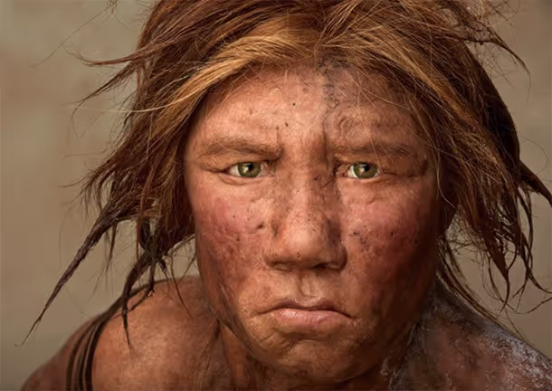 Capítulo 17 — Homo Sapiens
