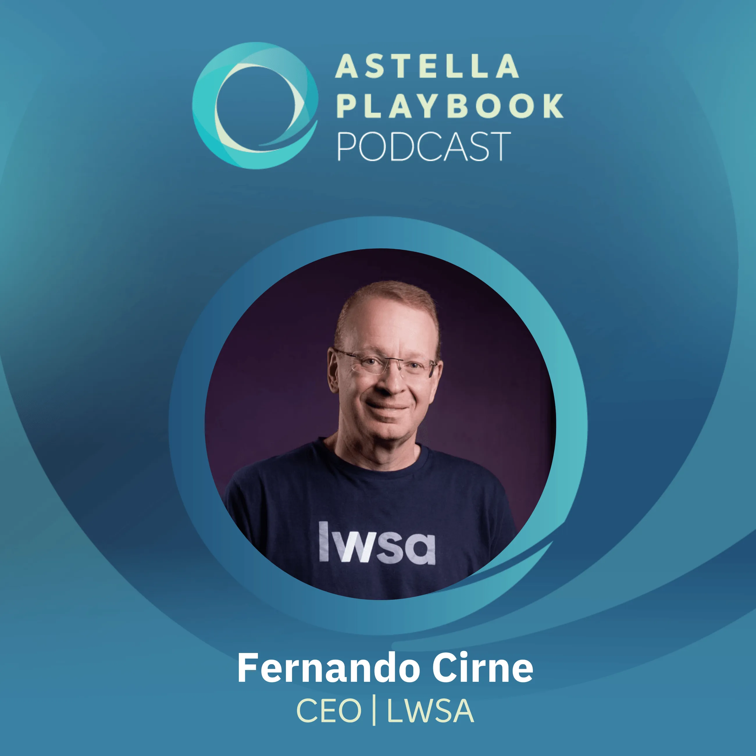 Fernando Cirne - O CEO da LWSA fala sobre M&As