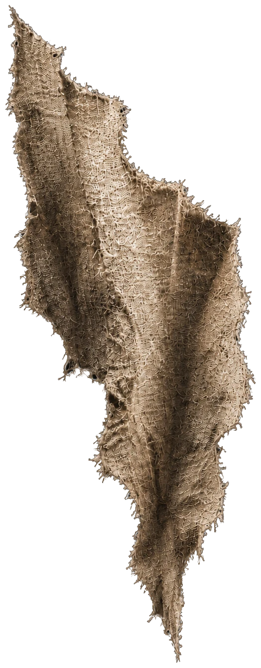 Iris Complex mark: a torn, frayed piece of woven fabric
