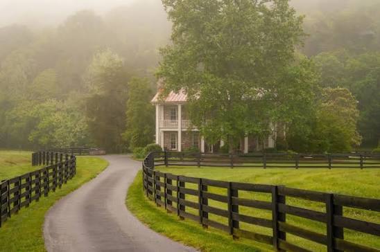 A gravel lane lined with black board fence leading to a farmhouse in morning fog