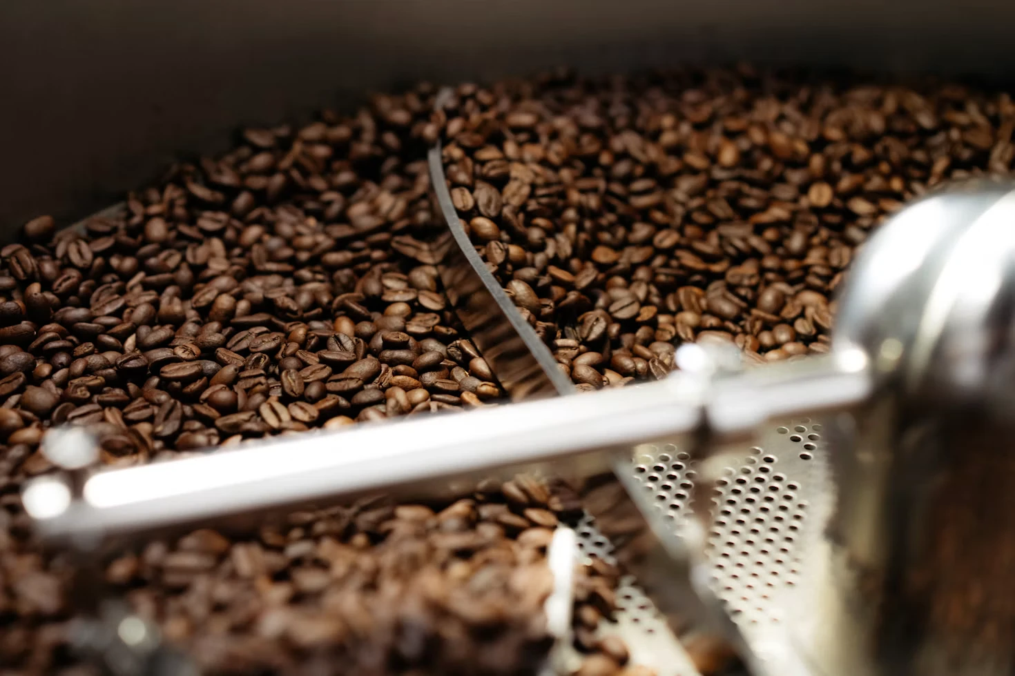 Coffee beans in a roasting cooling tray