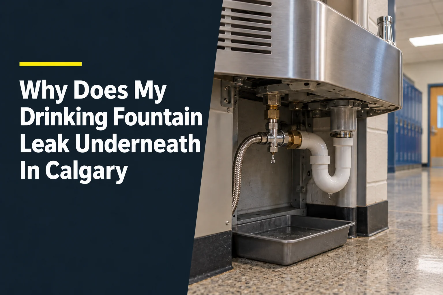 Why Does My Drinking Fountain Leak Underneath In Calgary?