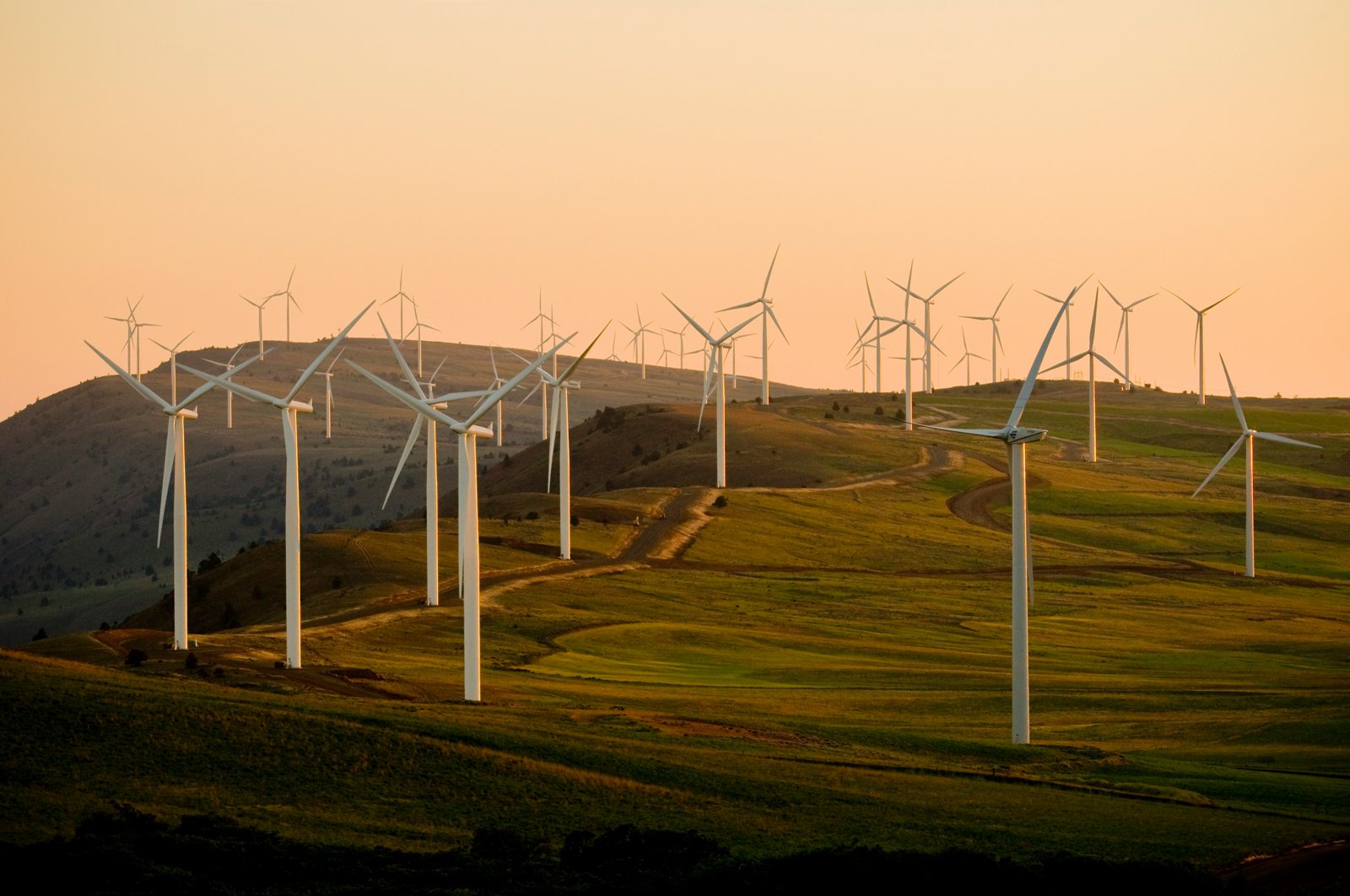 Wind turbines across rolling green hills at sunset