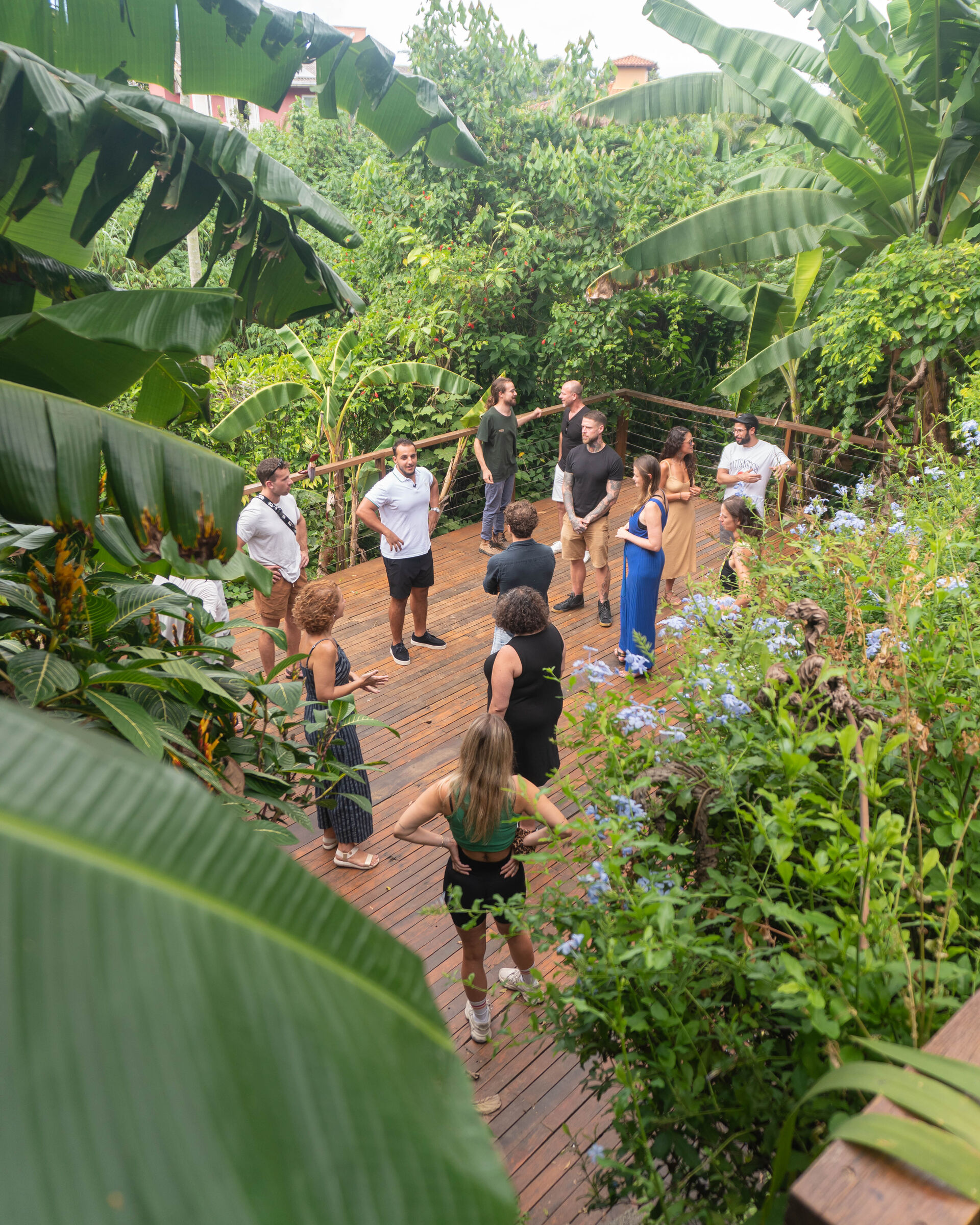 A group walking a jungle trail under tall leaves.