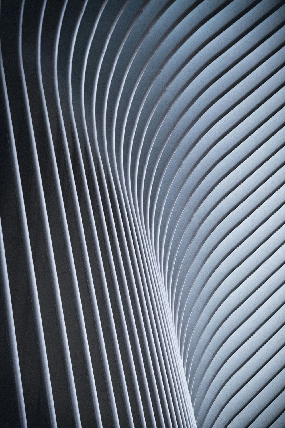 Repeating architectural ribs curving overhead, representing structure designed in from the start.