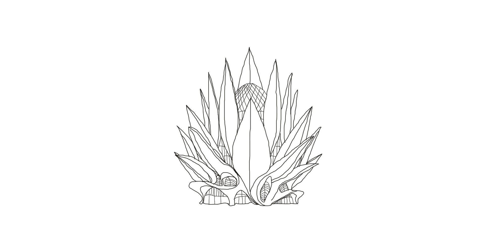 INITIAL ARCHITECTURAL LINE SKETCH