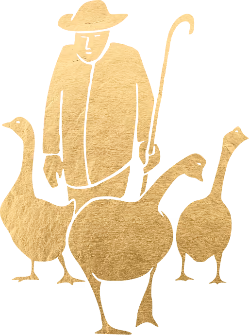 Grischäfer Gans