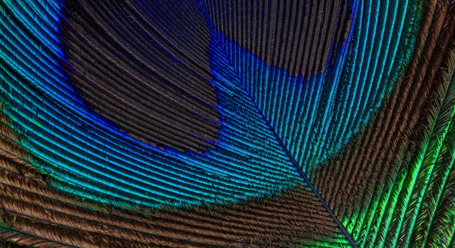 Abstract retinal fiber visualization