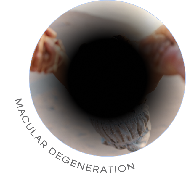 Retinal treatment visualization