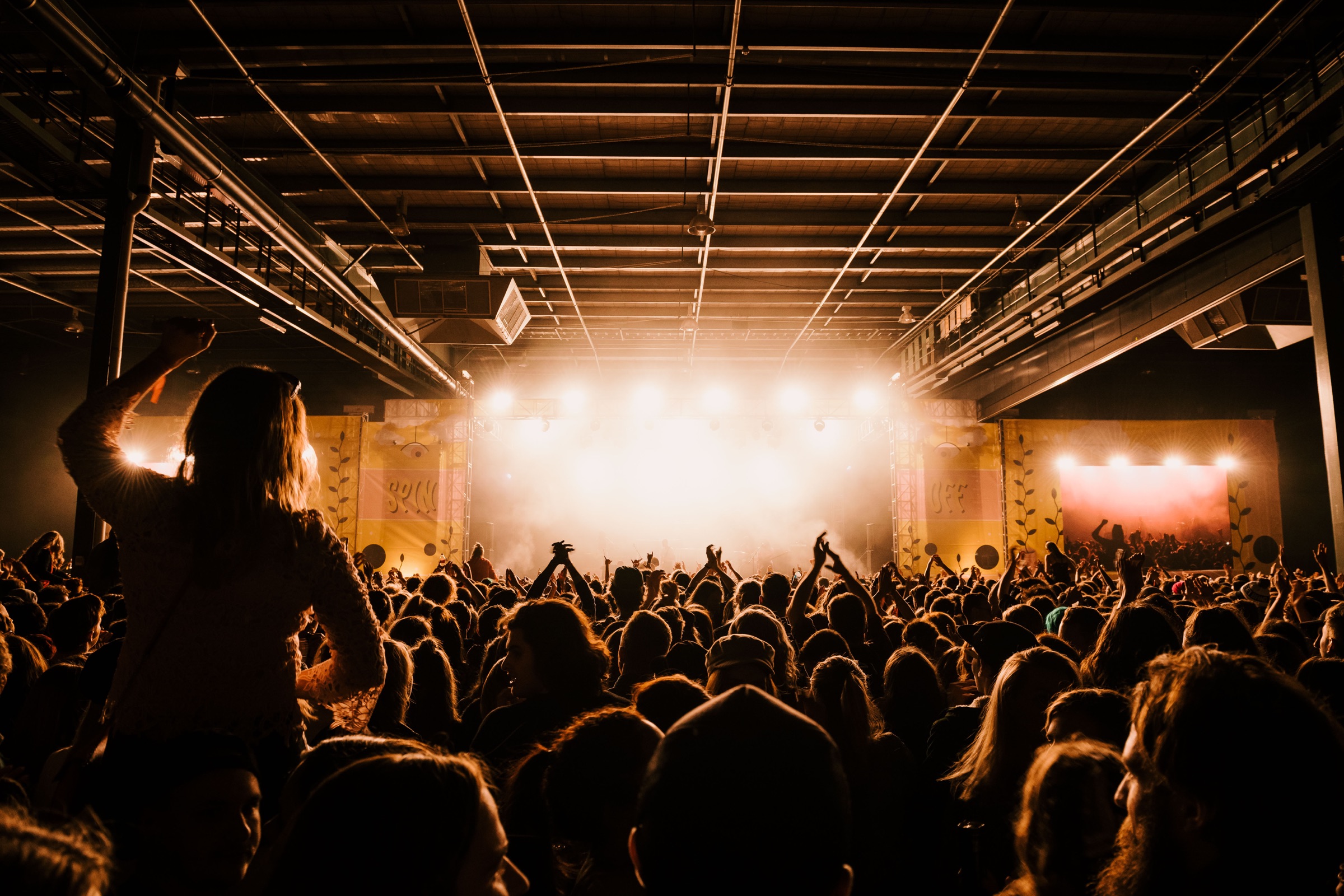 A crowd at a live show